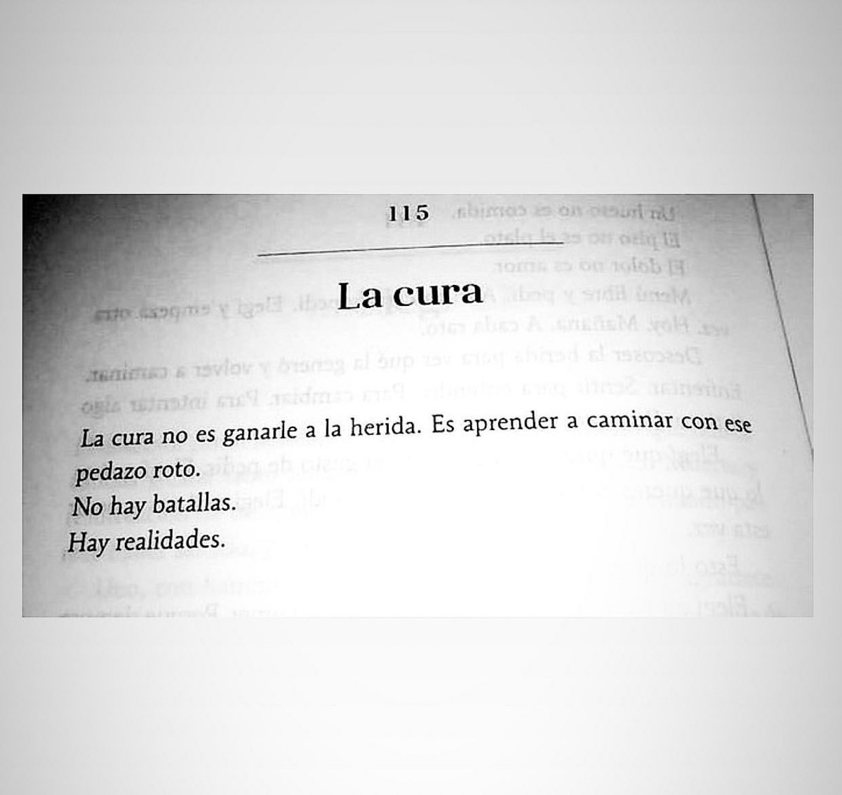 Cementerio De Libros tweet media