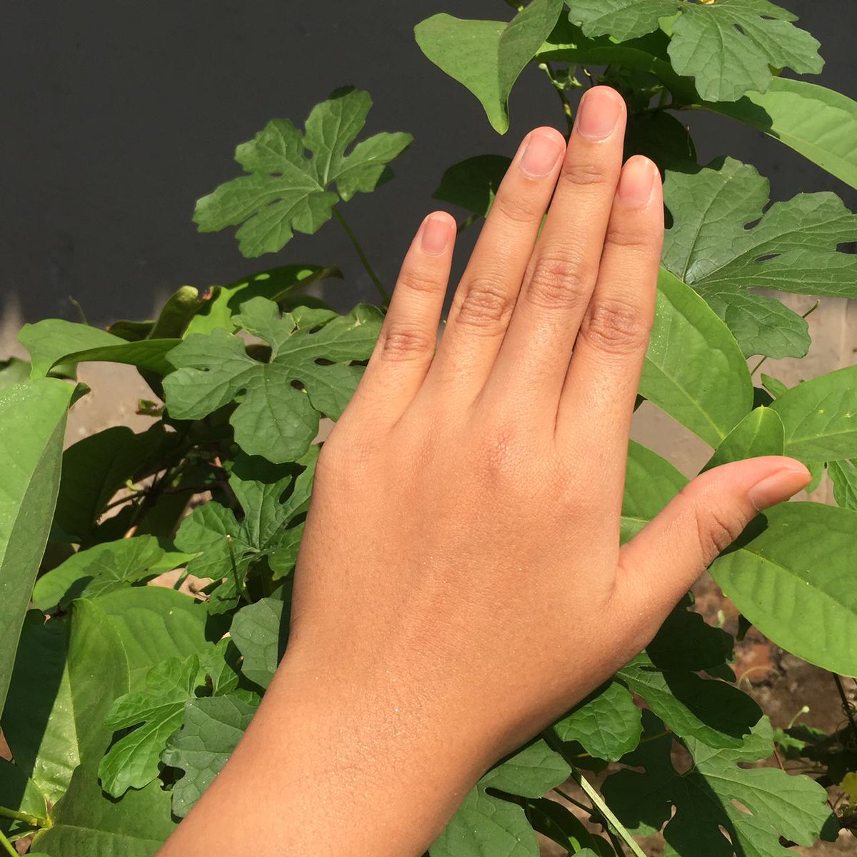 Marina hand &amp; body lotion varian healthy and glow bikin kulit aku lembab dan terawat ! 
aku udah repurchase produk ini berkali-kali karena semurah itu cuma 8 ribu dan ngefek di kulit ku !

🛍 shope.ee/3VH4V6D4Ds

#reviewhir jadi <a href="/SahabatMarina/">Marina</a>