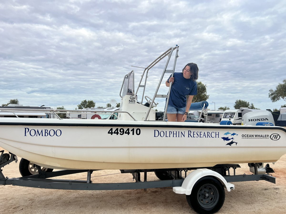 Grace Fogarty / gracefogarty.bsky.social tweet media