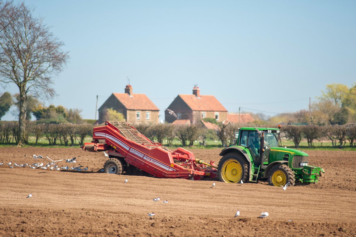 GRIMMEGroup's tweet photo. An effective separation is the basis for the growing of high quality 🥔,🥕,🧅 and other crop on stony and cloddy fields. The GRIMME destoners of the CS-series are developed for this purpose.
#GRIMME #GRIMMEGroup #potatoes
#machinery #CS150 #agricultural #separating #destoner https://t.co/33C3Qk1aQ5