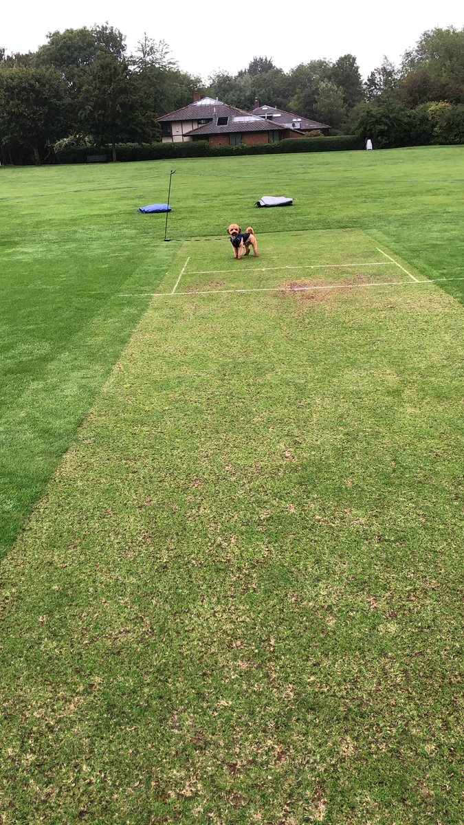 @dogsatcricket Chester calling the game off on Saturday