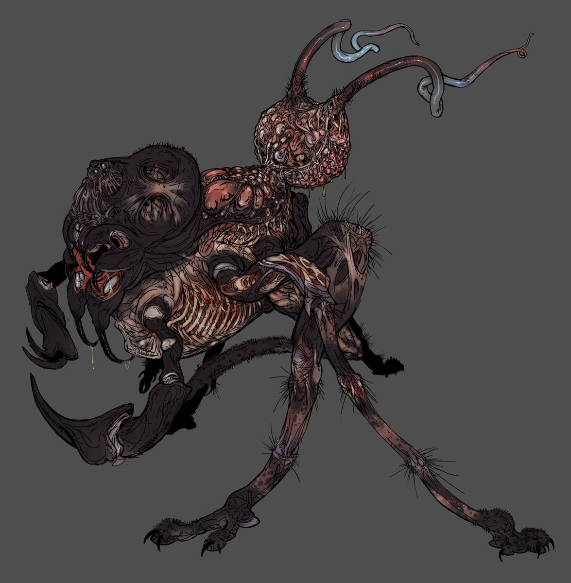 Ko-fi doodle request for a 'fleshy arachnid horror'