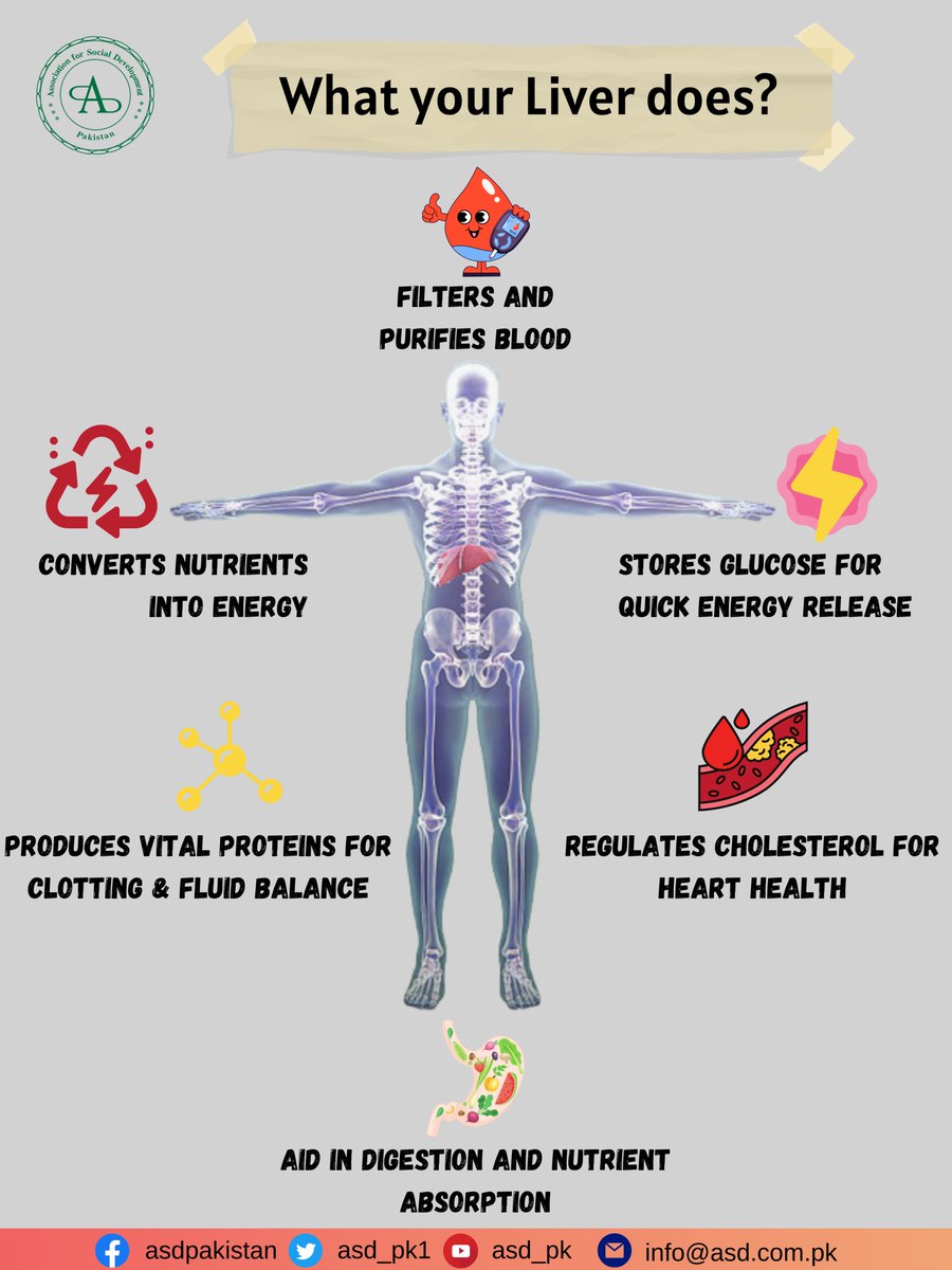 Know your body's vital guardian: the liver.

The Hepatitis Fund | Primary & Secondary Healthcare Department

#LiverFunction #HealthMatters #HealthyLiving #KnowYourBody