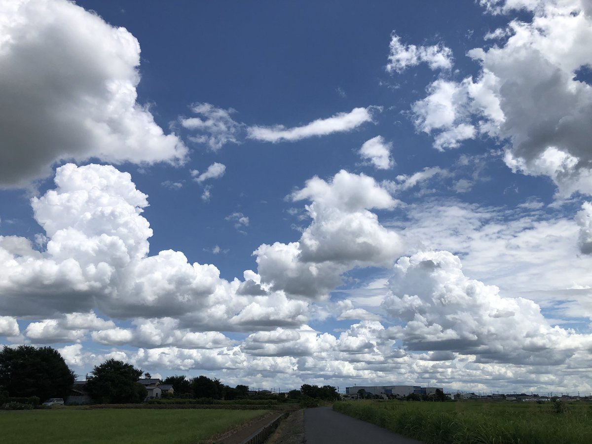 こんな道が5キロほど続いた。
なんだか気持ちがすごく穏やか☺️
バイクに乗って良かったなぁと思う瞬間でした。
ヘルメットの中はサウナでした。

#バイクのある生活
#バイク乗りと繋がりたい
#yzfr3