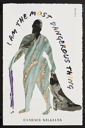 Today's <a href="/largeheartedboy/">David Gutowski</a> book &amp; music news &amp; links include <a href="/ElectricLit/">Electric Literature</a>'s interview with poet Candace Williams, new music from Sheer Mag, plus much more largeheartedboy.com/2023/08/07/sho…