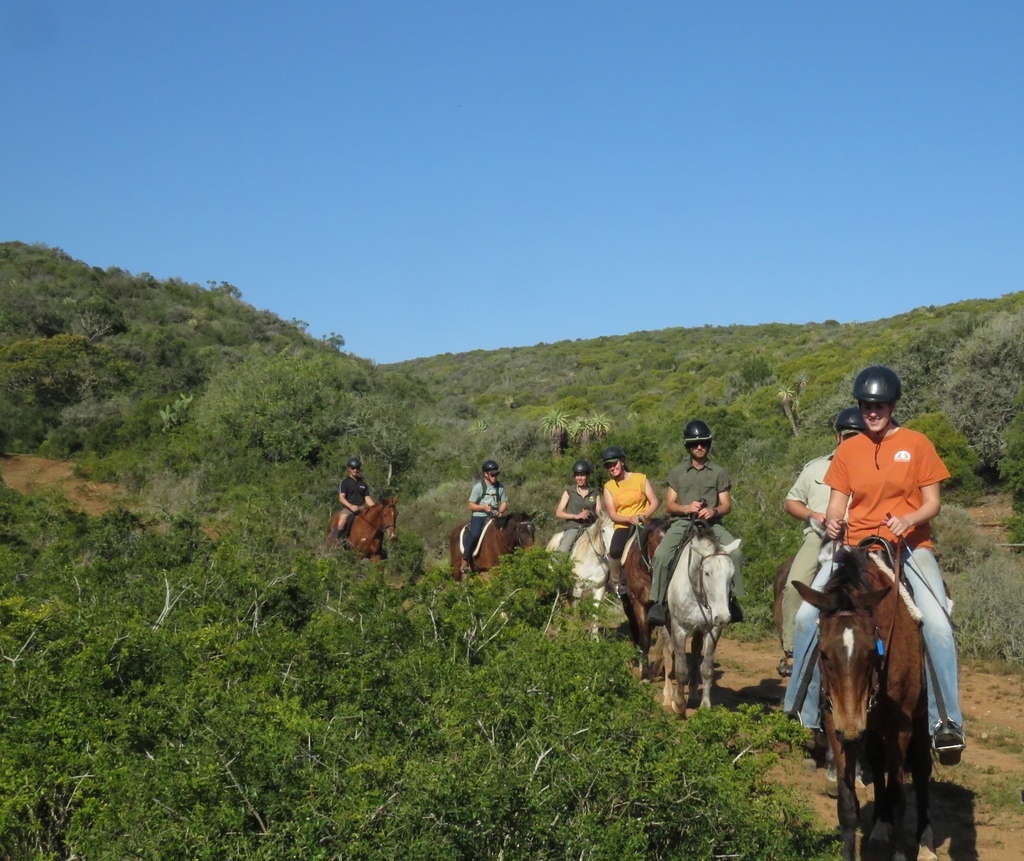 Amakhala Reserve tweet media