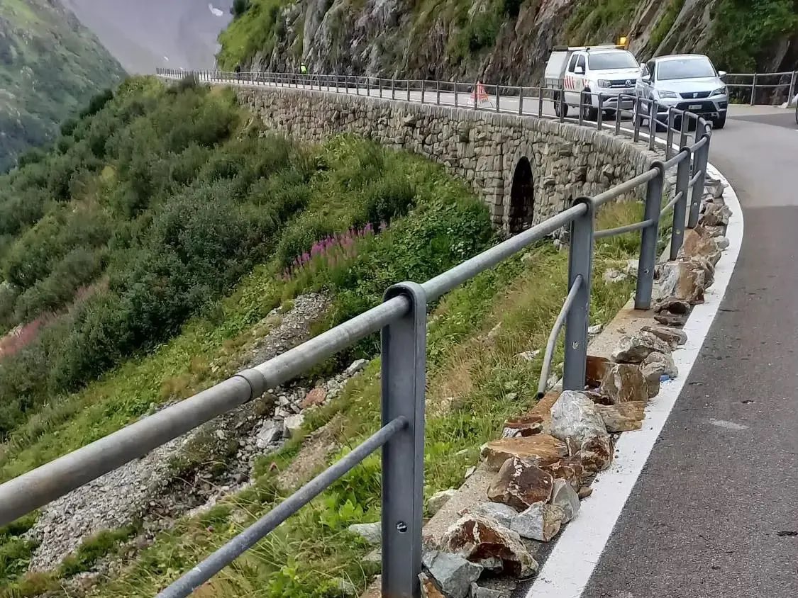 Schelbert Ramona tweet media