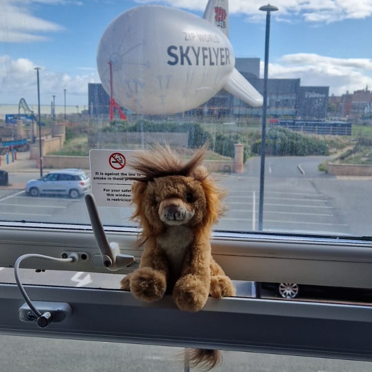 SalfordLibrary's tweet photo. The Library Lion on tour. For this year's #BigSalfordSummerRead, our library Lion wants to explore new worlds and embark on an adventure while he completes our #ReadingGame.
See if you can find the Library Lion & share your reading adventure with us.
https://t.co/UjZSx8ojmH https://t.co/qjqY89NbwU