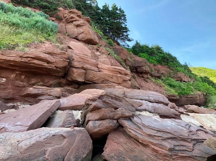 Corey Tremere tweet media