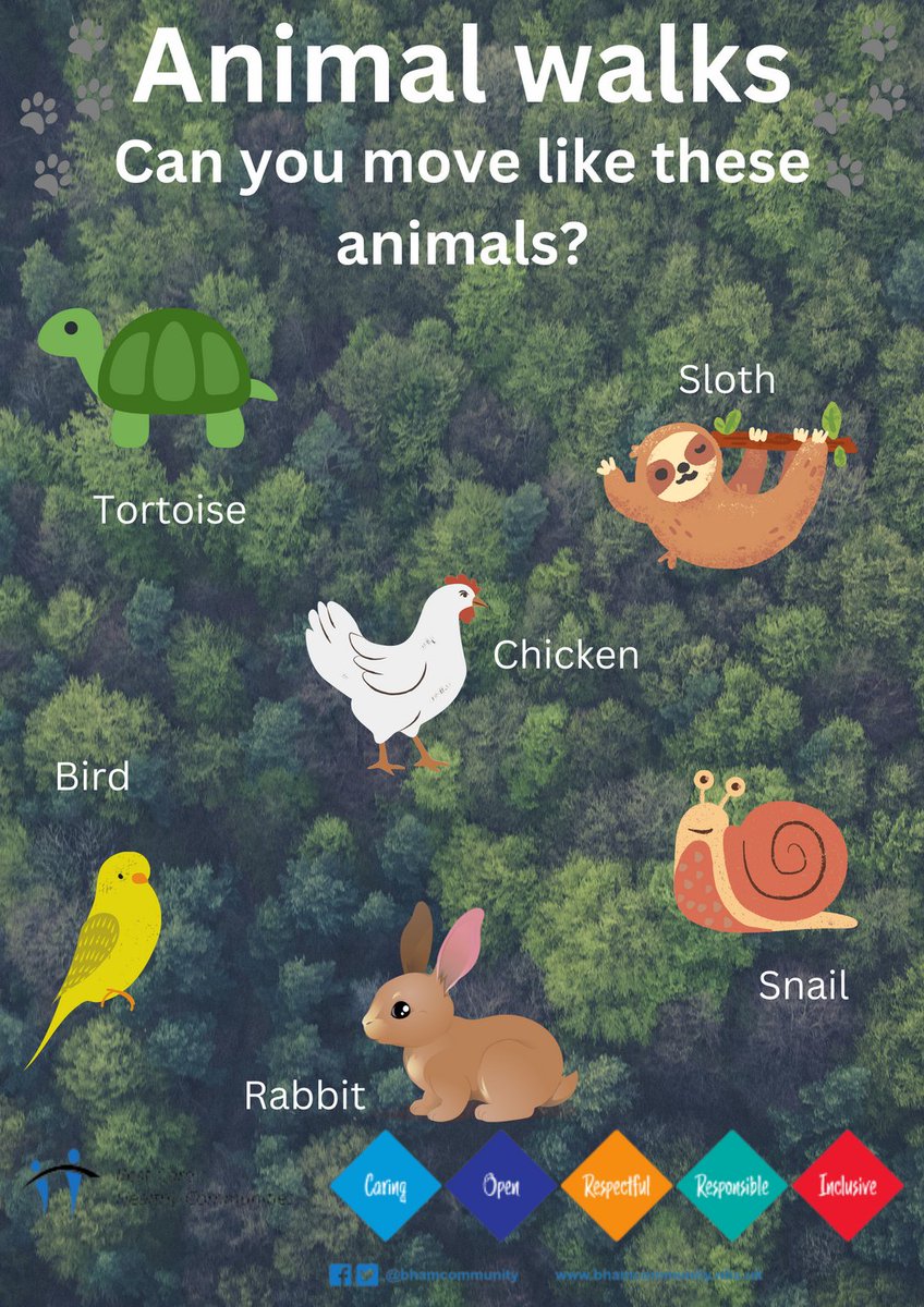 BCHC_Childot's tweet photo. MOVEMENT MONDAY: This month we are looking at animals and nature. Have you seen any of these animals over your summer holidays? Can you move like these animals. This can improve our balance and core stability. https://t.co/tEdDLFlD7H