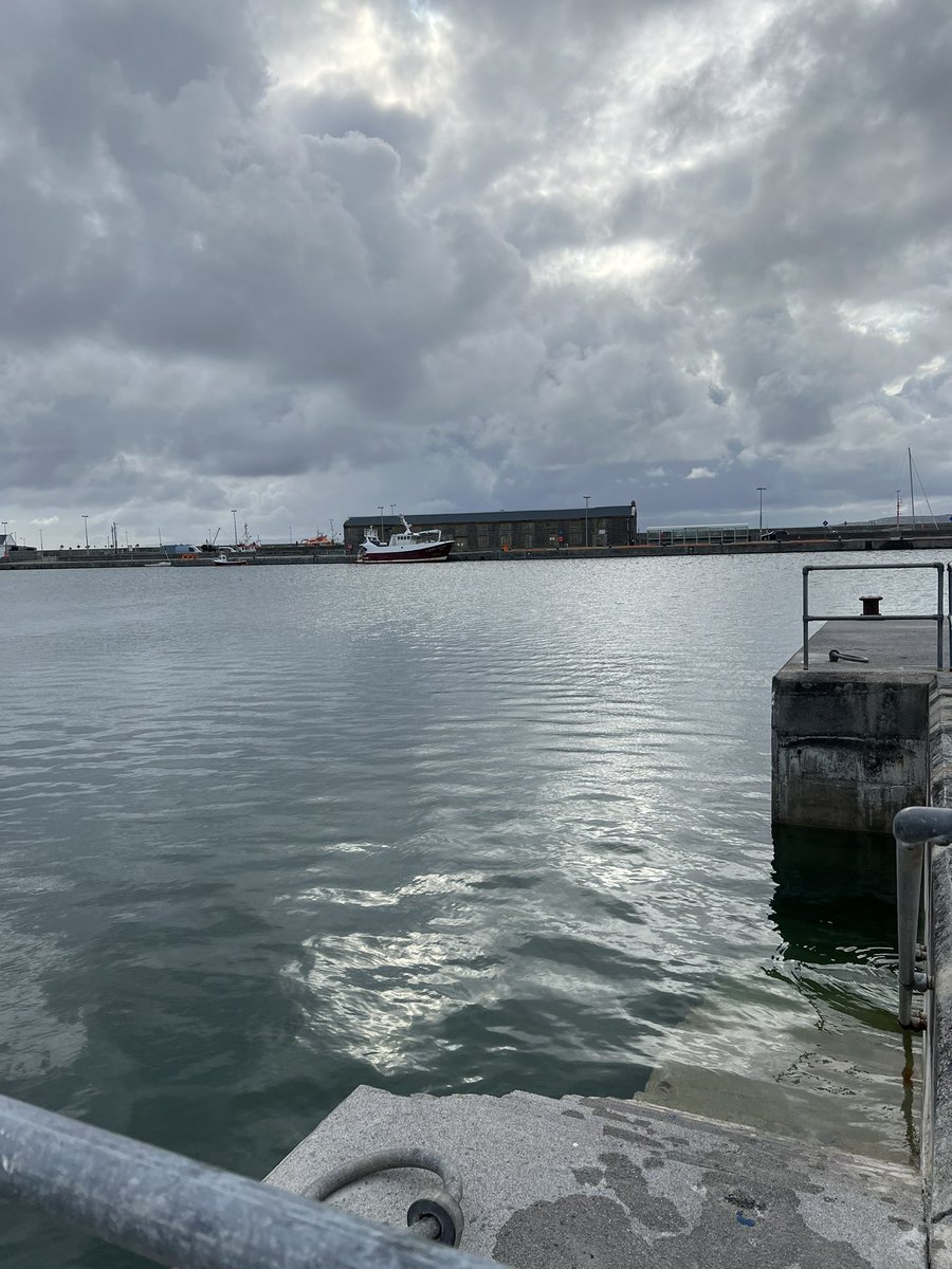 Mary Rodgers tweet media