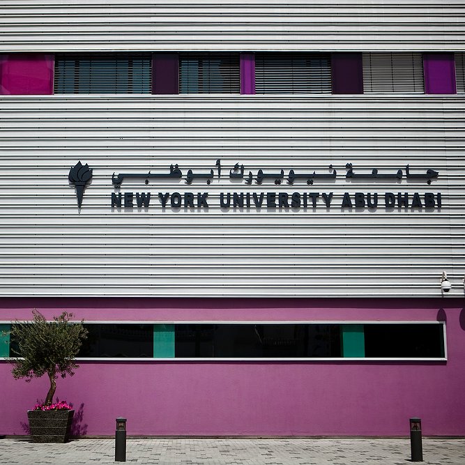 NYUAbuDhabi's tweet photo. How it started:                          How it's going: https://t.co/GdckLA3n85