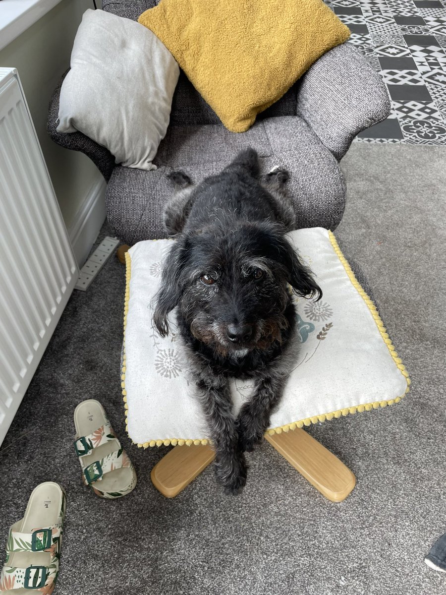 kalarific's tweet photo. @Phil_Sledge Chillaxing 🥰 https://t.co/1qKPoN31YT