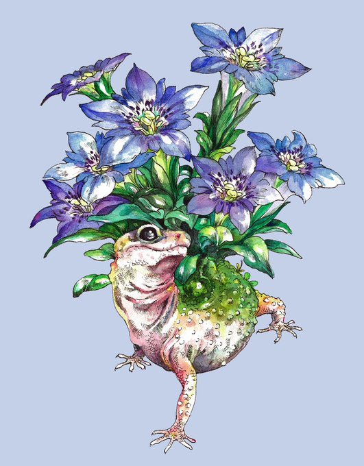 「frog plant」 illustration images(Latest)