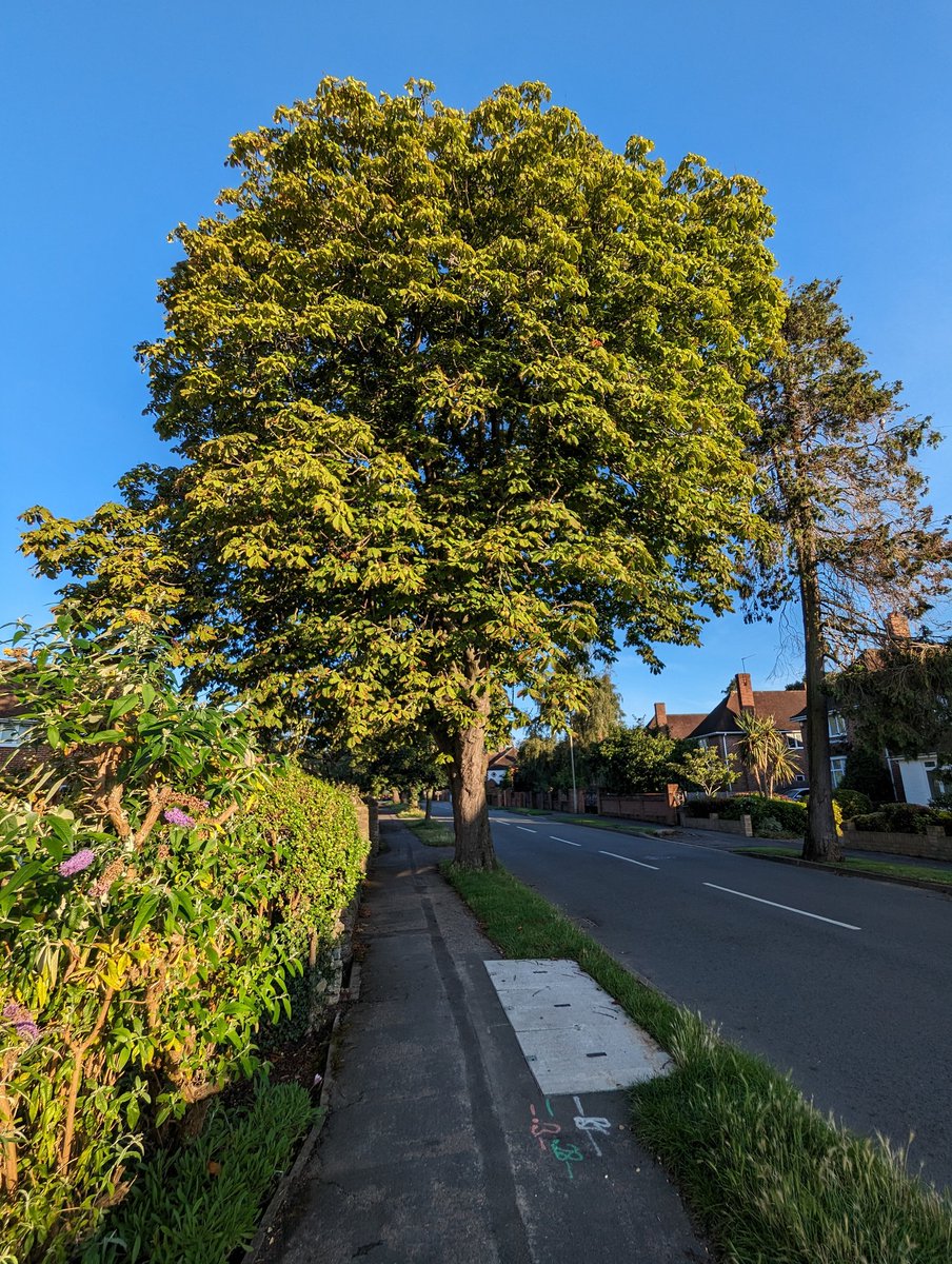 Jayakrishnan 🏳️🌈 tweet media