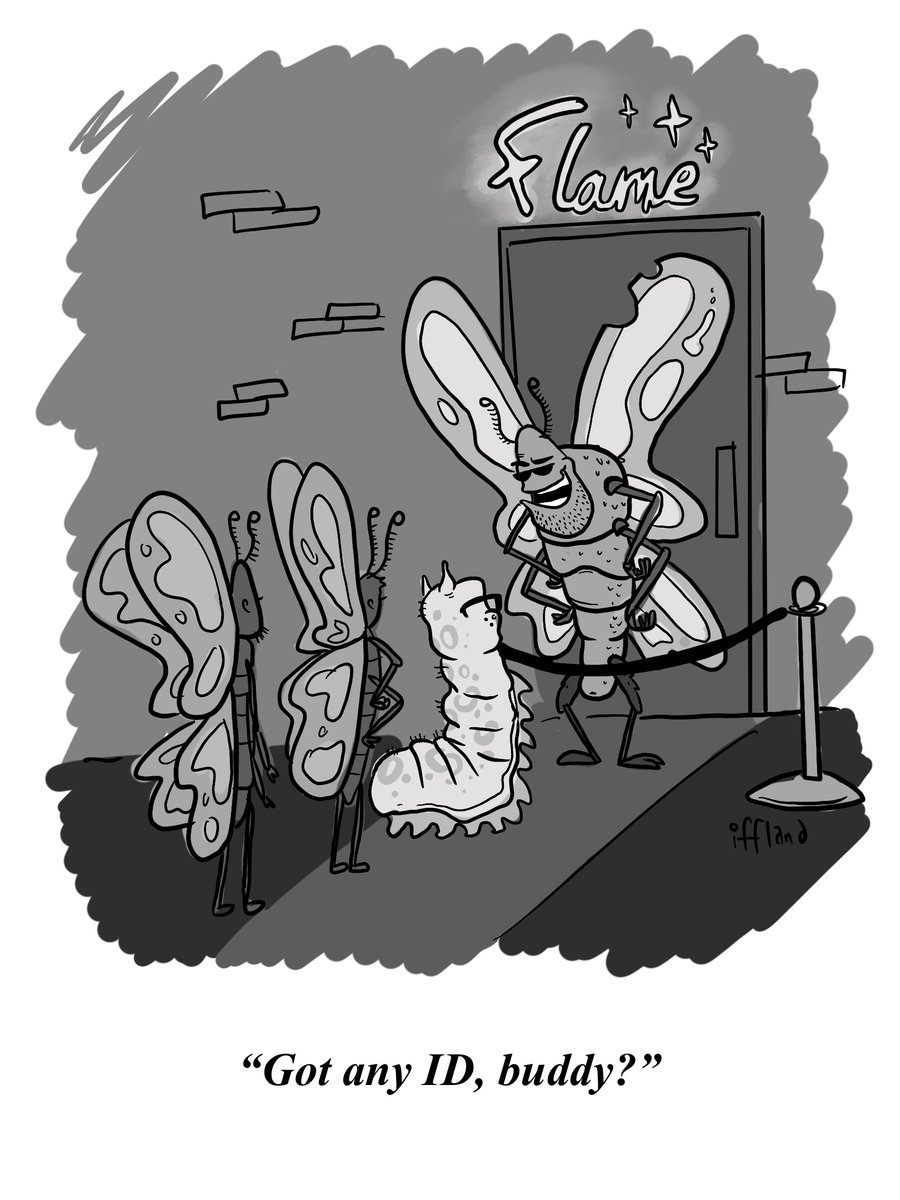 edmundiffland's tweet image. 🐛🪪