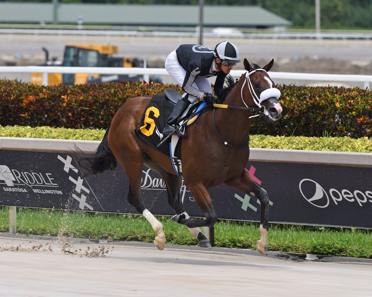 SaffieJosephJr's tweet photo. #7Aug R Harper Rose

Jockey: Edgard Zayas
Trainer: Saffie Joseph, Jr.
Owners: Averill Racing LLC / Two Eight Racing
Maiden Special Weight $65,000

5️⃣3️⃣rd victory for Saffie Joseph, Jr. #GulfstreamPark Saturday, Aug 05, 2023 #RoyalPalmMeet

📸 @coglianesephoto

🎥 @artilespascualf https://t.co/pf9Gh5tzqO
