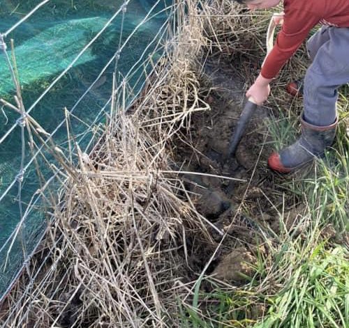 DWithington tweet media