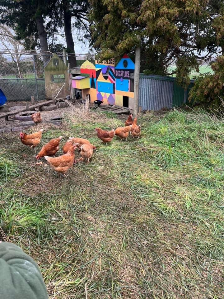 DWithington tweet media