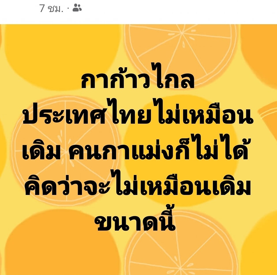 kovitw tweet media
