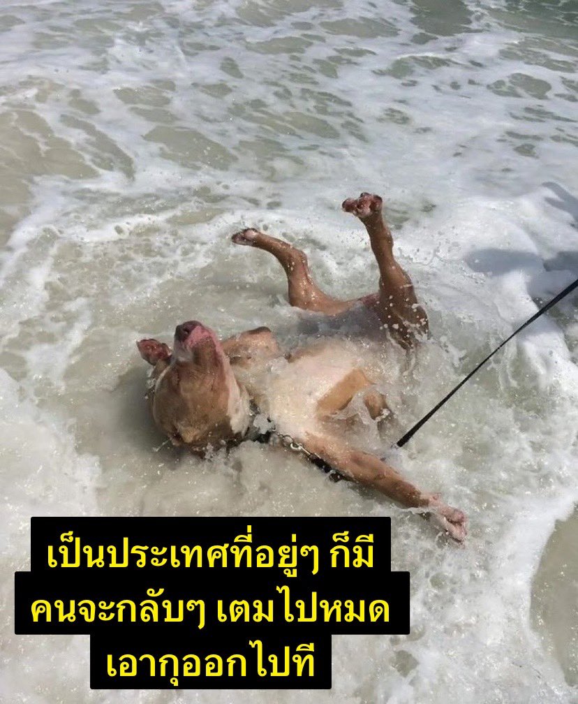 http_1day's tweet photo. 5555555555555555555555555555555555555555555 🥹 https://t.co/8zKq8dq65O