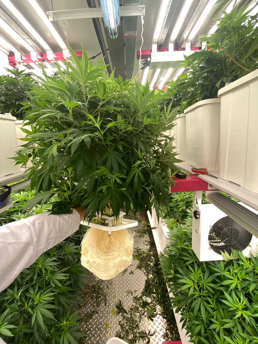 GrowSpec Biotech | Grow More Efficiently tweet media