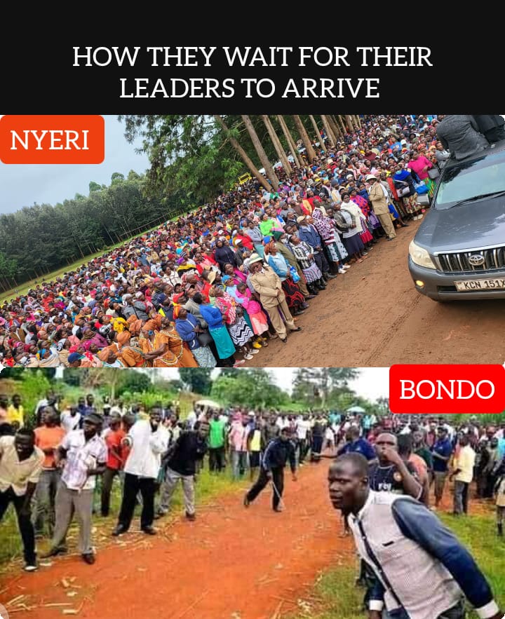 Kawy_Pam's tweet image. You can&apos;t compare #Mlima people with Ayatollah&apos;s cult followers.
We&apos;re civilized...
#MlimaBETAPlan