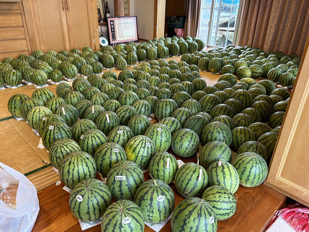 Dayjo098's tweet photo. 沖縄県民へ宣伝🙌

従兄弟がスイカ🍉を作ってて、台風で出荷出来ずに沢山の在庫があります。

結構お得な価格で販売しているので、スイカ食べたい方はこの機会に是非買ってあげて下さい✨

甘くて美味しいですよー🍉
販売場所や連絡先は画像に載せておきます！
RTで拡散して頂��ると助かります🙇‍♂️
#沖縄 #スイカ