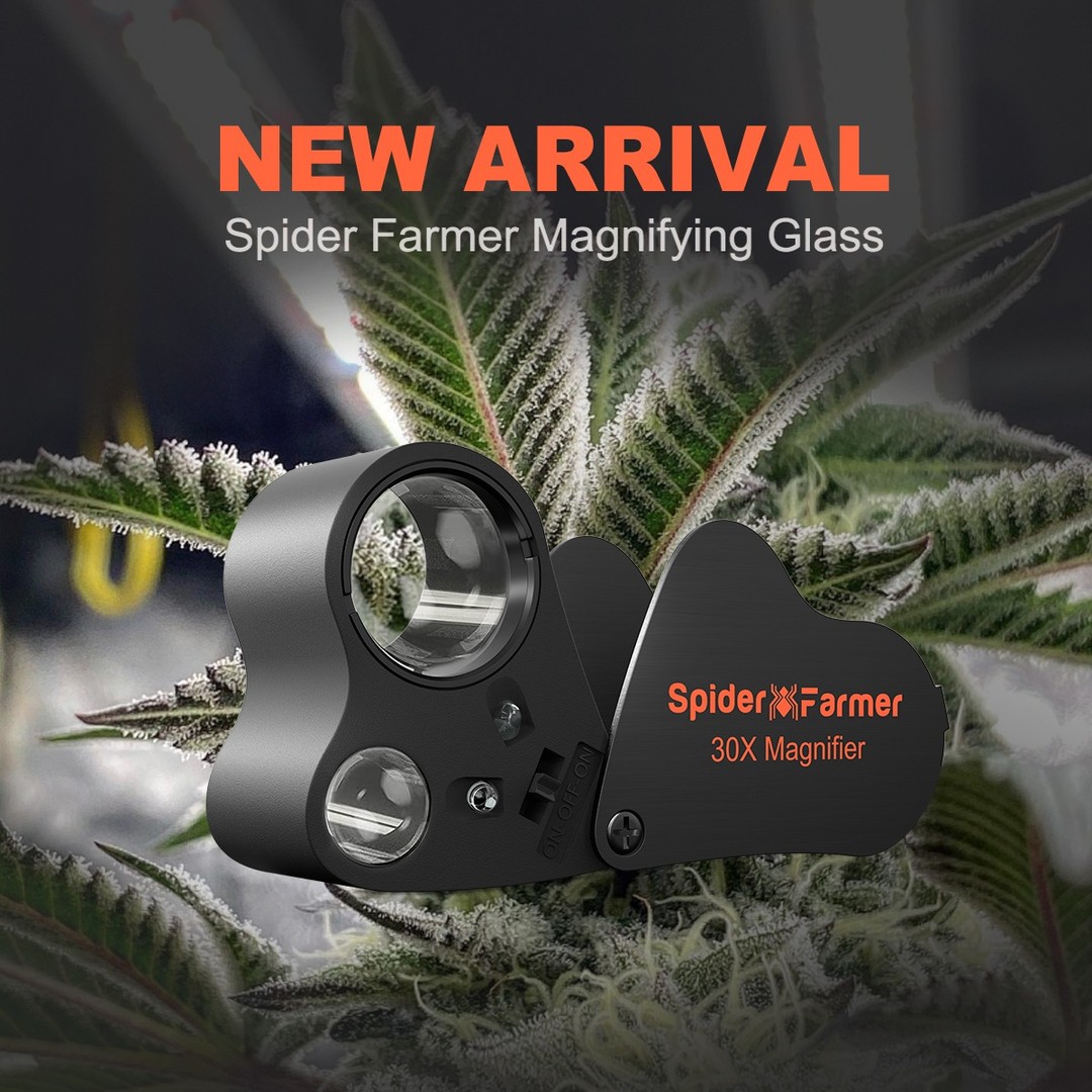 🥳Spider Farmer Magnifier New Arrival🔥🔥🔥

✅ Double lens: 30x 22mm main lens and 60x 12mm auxiliary lens double zoom lens.
✅ Two Led lights
✅ Multipurpose
✅ Portable &amp; Foldable

#spiderfarmer #spiderfarmermagnifier #spiderfarmerled