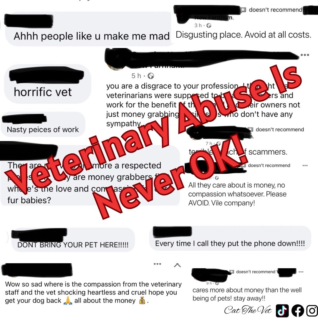 Cat_The_Vet's tweet photo. An out-of-hours provider on the U.K. is currently suffering horrendous abuse after a disgruntled client made an angry post that went viral.

Vile comments and fake reviews are being left all over their page.

For doing their job and saving a life.

This is NOT ok https://t.co/Y0mTUxIlFQ