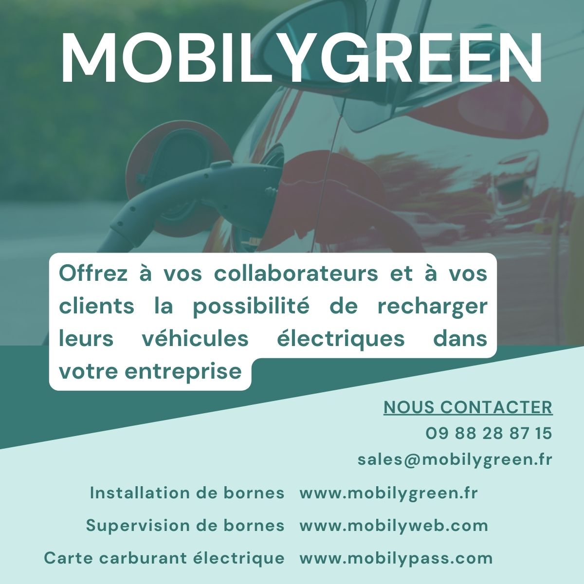 MOBILYGREEN tweet media