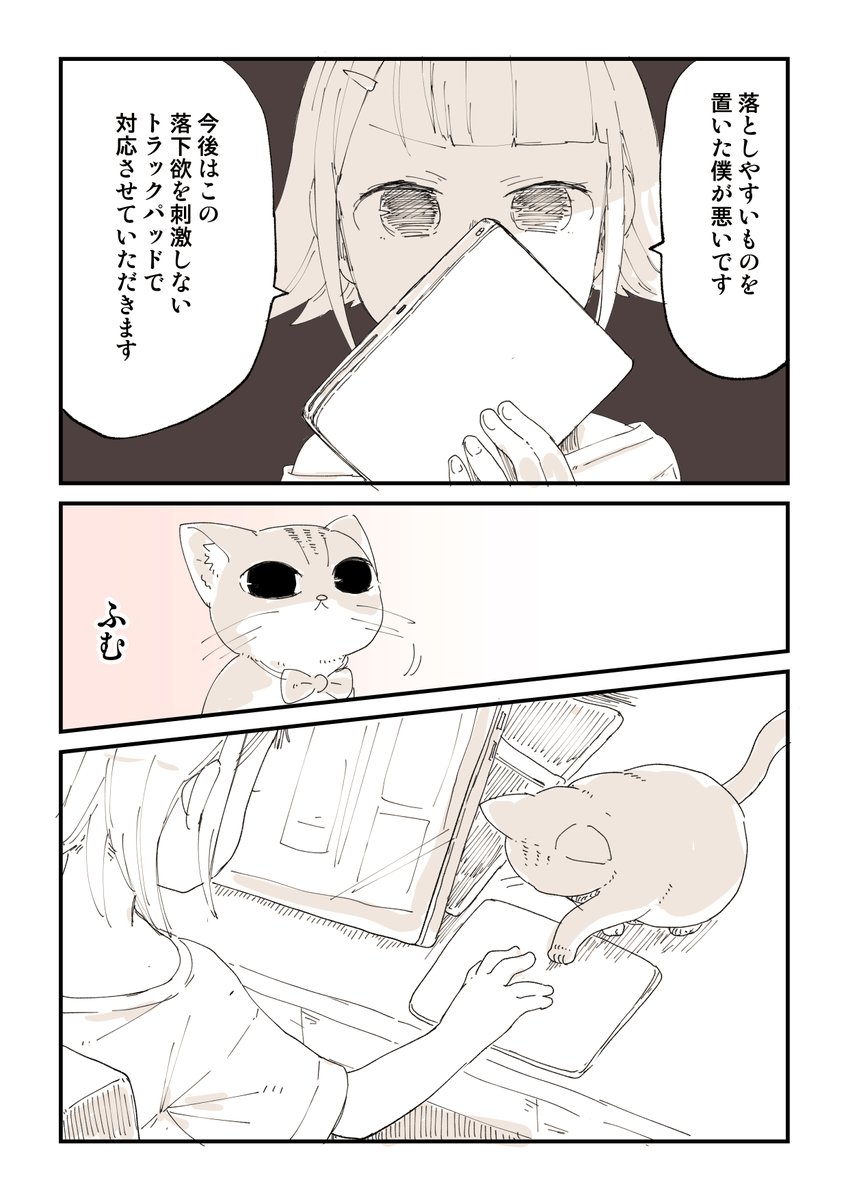 猫は悪くない 2/2  猫シリーズはこちら 