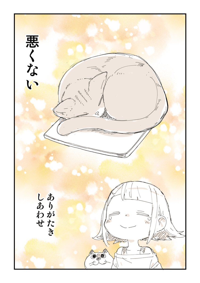 猫は悪くない 2/2  猫シリーズはこちら 