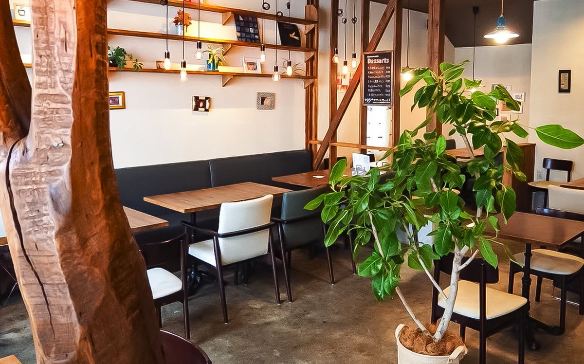 昭和の風情残る熊野前商店街のカフェ「こひきや」。  八百屋さんをリノベした店内は、自然木が使われていて居心地がいい大好きなお店。無添加素材にこだわった身体にやさしいメニューばかり。  かわいすぎるクマ最中つきのソフトクリーム🧸✨新潟の加勢牧場さんと共同開発したオリジナルの味!美味!