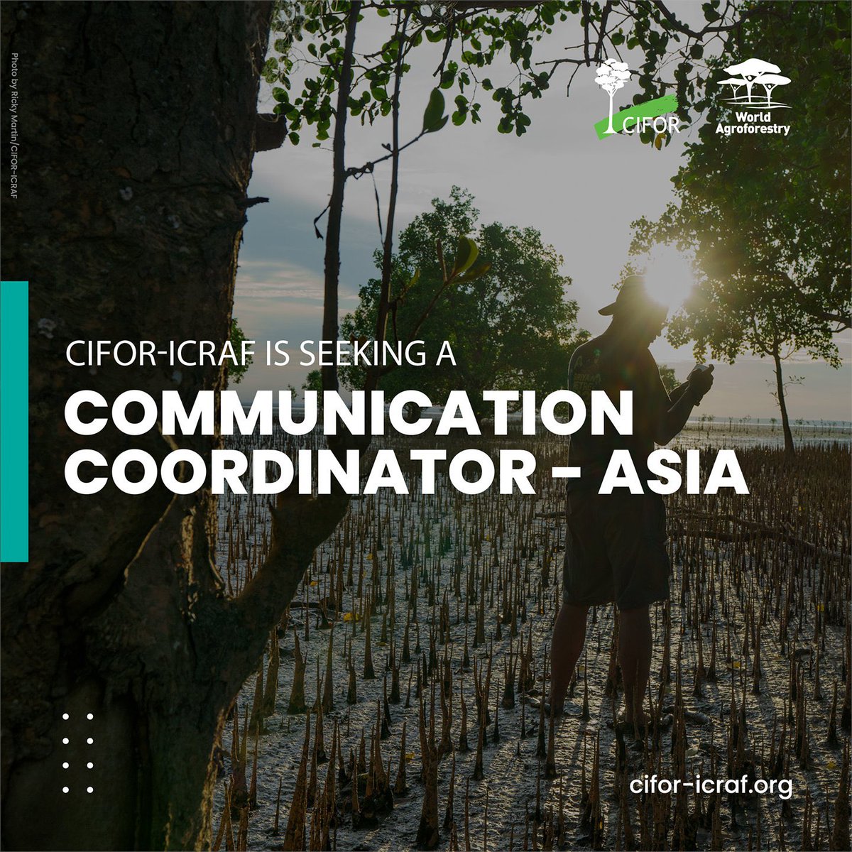 📣 We’re hiring 

💼 Asia Communication Coordinator

📍Duty station: Bogor, Indonesia 🇮🇩

Full job description and application details: 🔗 bit.ly/3QpRpY7

#Hiring #JobAlert #Vacancy #WorkWithUs