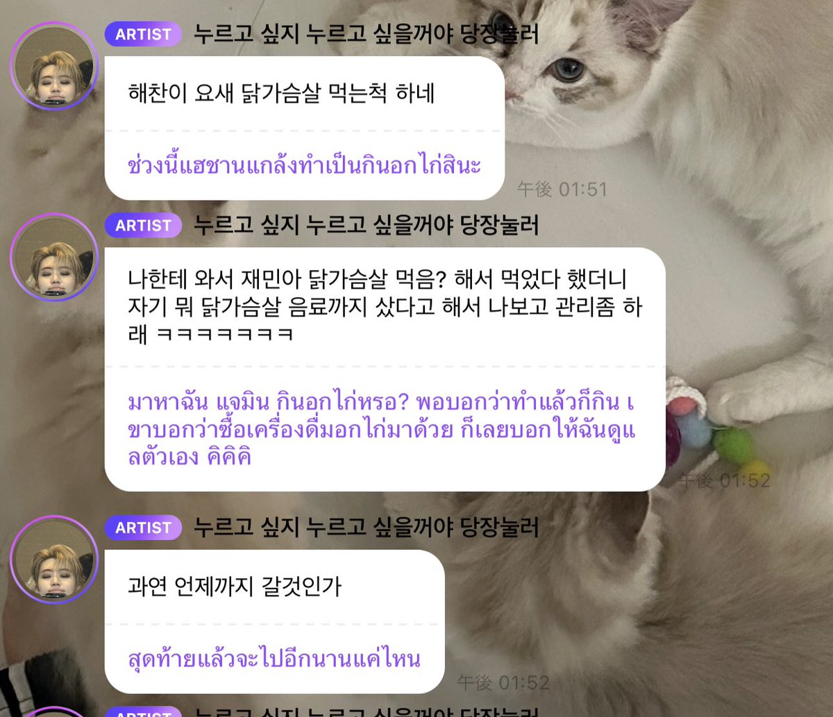 แฮชานกับแจมิน = มวยถูกคู่ 555555555555555555555555555555555555555555555555555