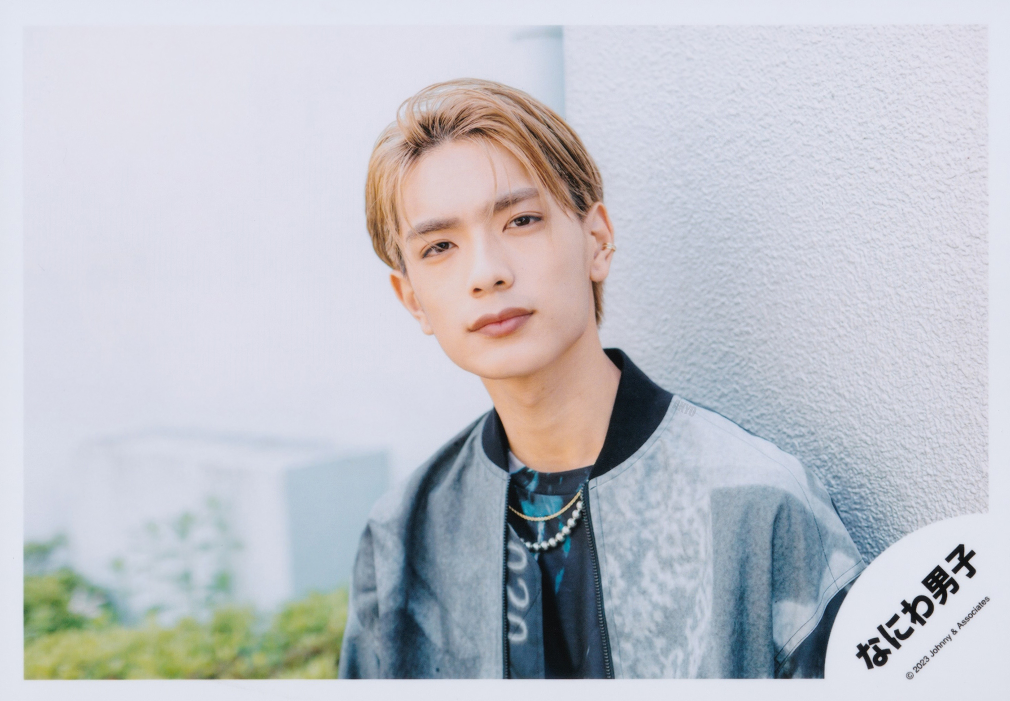 아쿄🐶🐨🐶🐱 on X: 