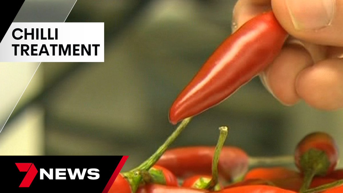 7NewsBrisbane's tweet photo. Some like it hot, but even if you can't stomach spicy food, chillis might be the secret to preventing dementia. The University of Southern Queensland is starting a new trial to battle one of the country's biggest killers. https://t.co/iTIEoHYw4t @LauraDymock #7NEWS https://t.co/m1zBv53Nhz