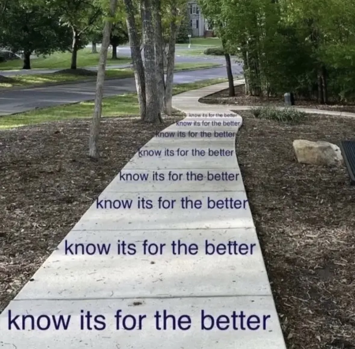 going on a walk later