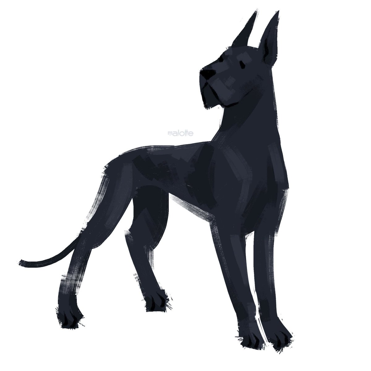 Malotte00's tweet photo. #doggust #dogsinaugust https://t.co/dPumKKzFB3