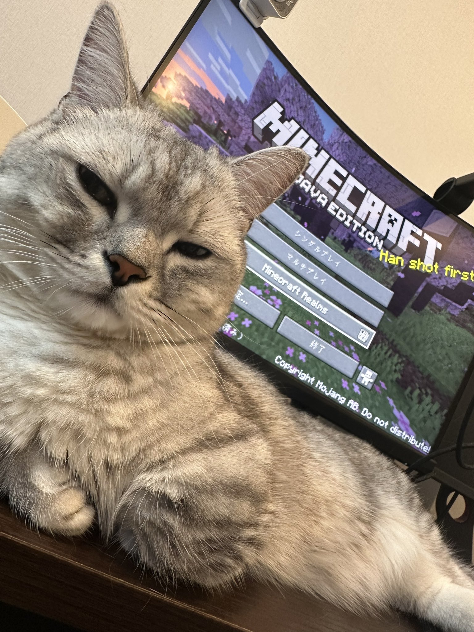 オンラインショップ まろ🐈 on X:  小物