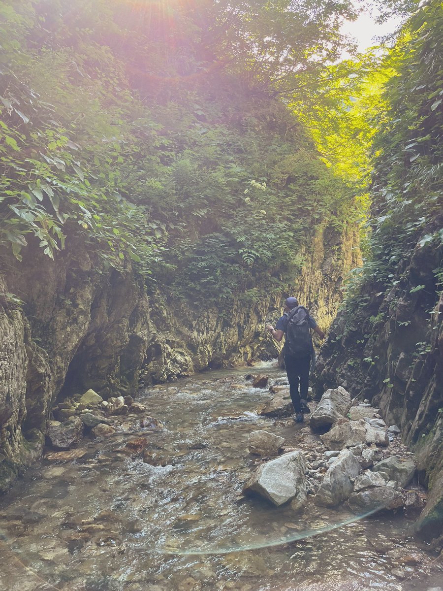ryotamatsu2's tweet photo. 富山でのテンカラが楽しすぎた件。 https://t.co/LriqqknrsC