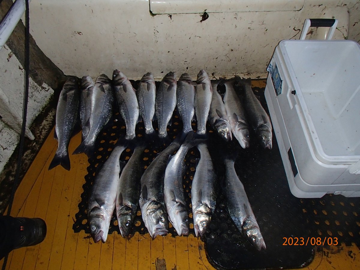 Last week officers inspected landings from recreational vessels and a found one individual retaining more than their two bass allowance per day, investigation ongoing.  For more bass information -secure.toolkitfiles.co.uk/clients/17099/…  
#Fisheriespatrol #Cornwall #seabass