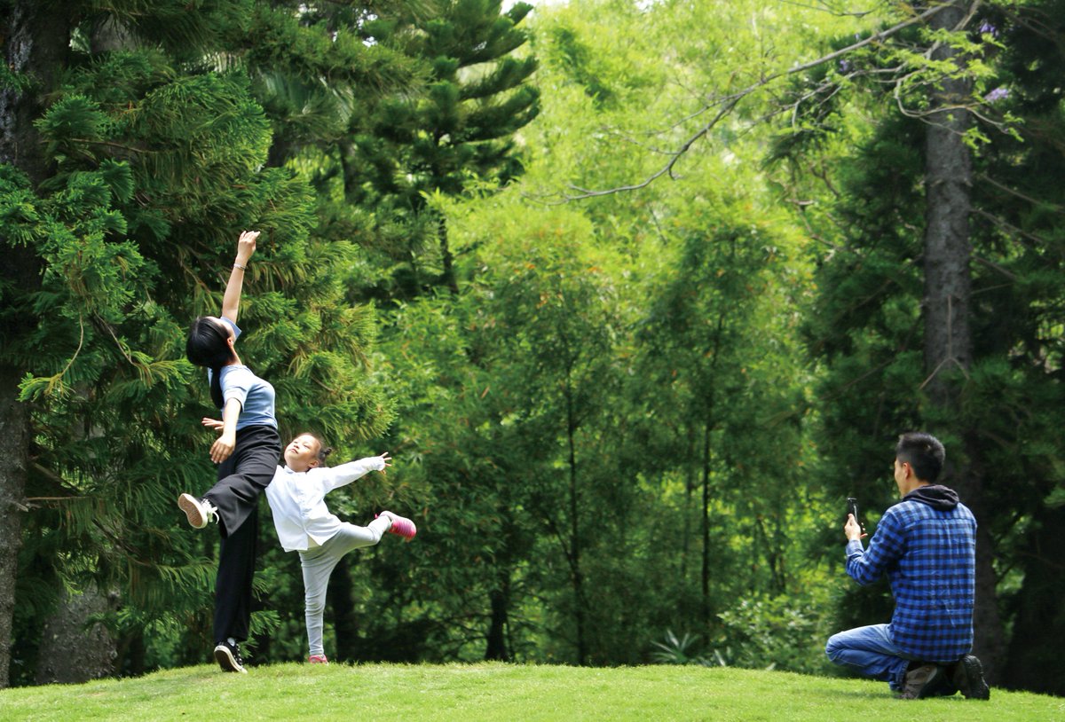 VisitXiamen's tweet photo. Nature is much more than a location - it’s a sensation. Among the woods at Xiamen Botanical Garden, you’ll feel rested and recharged. Invite your family and friends to this calming setting, and let the sounds of nature awaken your senses. #VisitXiamen #WaveDiary
📷Zeng Qiaorong https://t.co/M83gPfAfSk