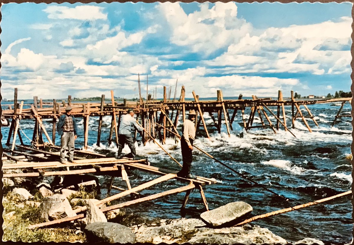 MinnsDuSverige's tweet image. Övertorneå. Kukkolaforsen. Pls Rtwt.