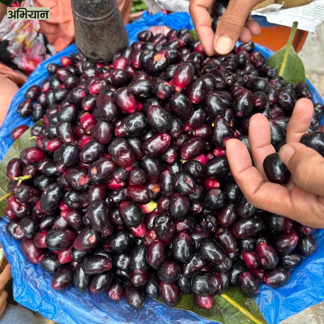 📷 नरदेवीको टेंगल चोकमा जामुनको व्यापार गर्दै महिला  📷

 📸तस्वीर : सुनिल शर्मा/आर्थिक अभियान
📍abhiyandaily.com/newscategory-d…

#kalajamun #jamun #fruit #blackplum #javaplum #famousfruit #blackplums #fruits #fruitsbasket #fruits #fruitsrouges #fruitsandveggies #nba #aarthikabhiyan