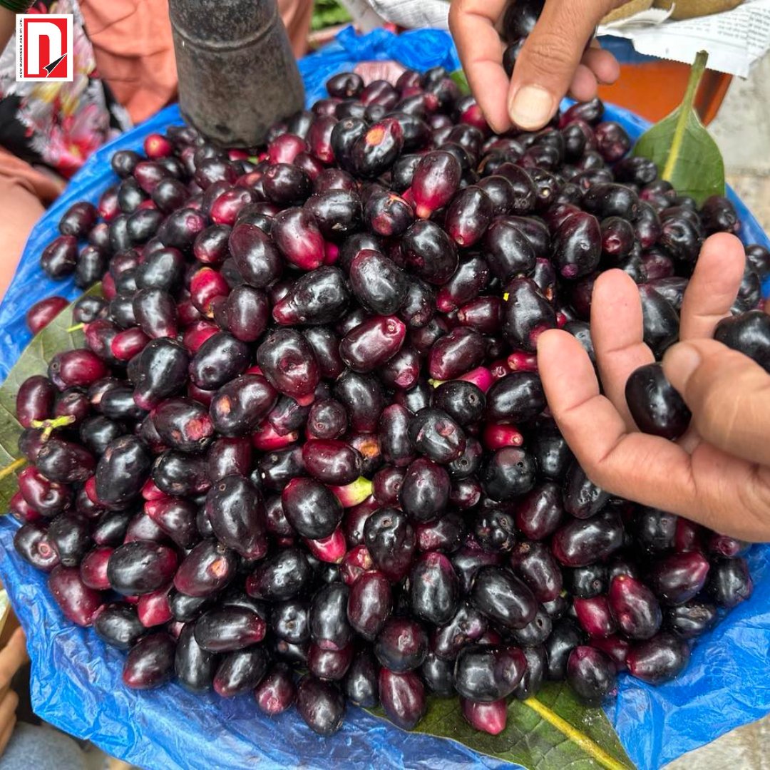 📷 A woman selling black plum at Naradevi's Tangle Chowk 
 
📸Photo: Sunil Sharma/ Aarthik Abhiyan
📍abhiyandaily.com/newscategory-d…

#kalajamun #jamun #fruit #blackplum #javaplum #famousfruit  #plum #plumcake #blackplum #blackplums #fruits #fruitsbasket #fruitsrouges #fruitsandveggies