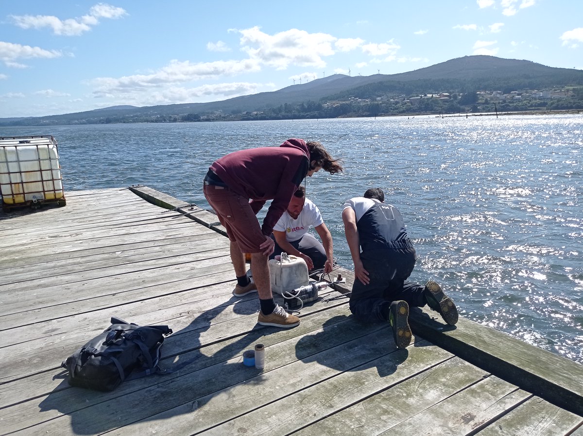 Aproveitando esta boa mar estamos nunha boráxine de saídas ás plataformas do #ObservatorioCosteiroXunta para servir datos de calidade que podedes consultar en intecmar.gal/Plataformas
Semana pasada #EstacionRande #PlataformaCortegada... E mañán doblete en #BoiaCíes e #BoiaAGarda