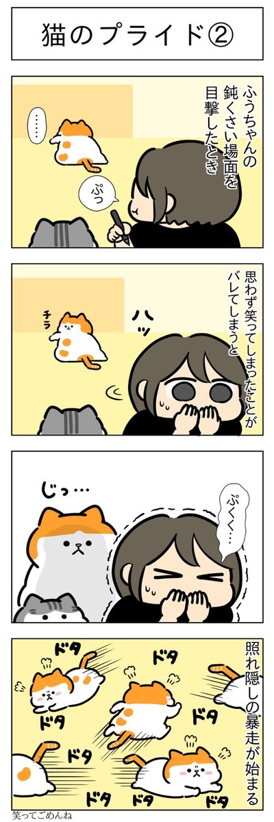 猫のプライド①②│フェリシモ猫部 