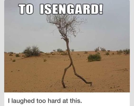 Grond (@friendlygrond) on Twitter photo 